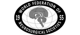 WFNS — Всемирная федерация нейрохирургических обществ